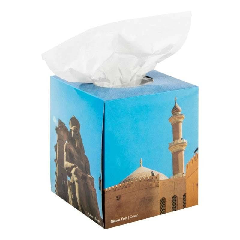 Teqler - 2ply Box of 100 Tissues - T138356 UKMEDI.CO.UK UK Medical Supplies